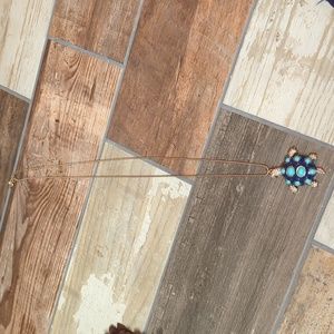 Betsey Johnson Turtle Necklace.